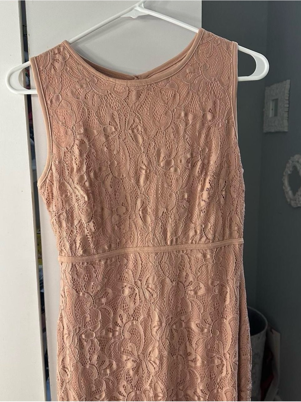 Enfocus Studio Lace Sheath Dress in Blush Pink
